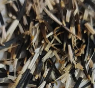Marigold Seeds